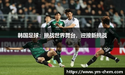 韩国足球：挑战世界舞台，迎接新挑战