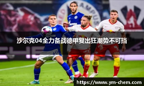 沙尔克04全力备战德甲复出狂潮势不可挡