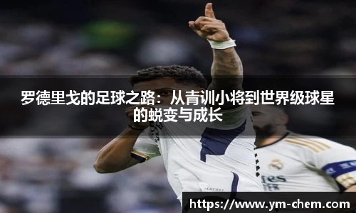 江南体育官方平台