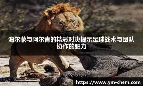 江南体育官方平台