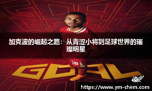 江南体育官网