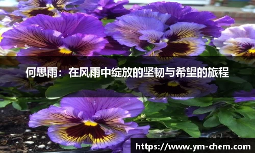 江南体育